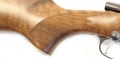 CZ 550 Varmint