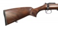 CZ 455 FS